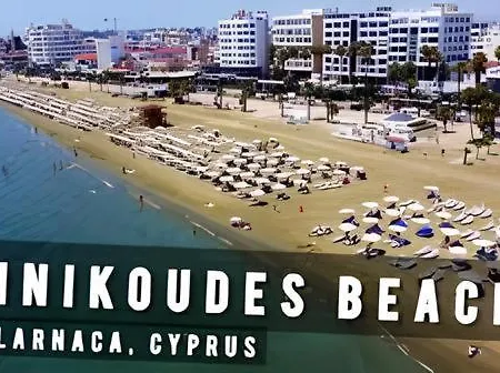 Finikoudes Fabulous